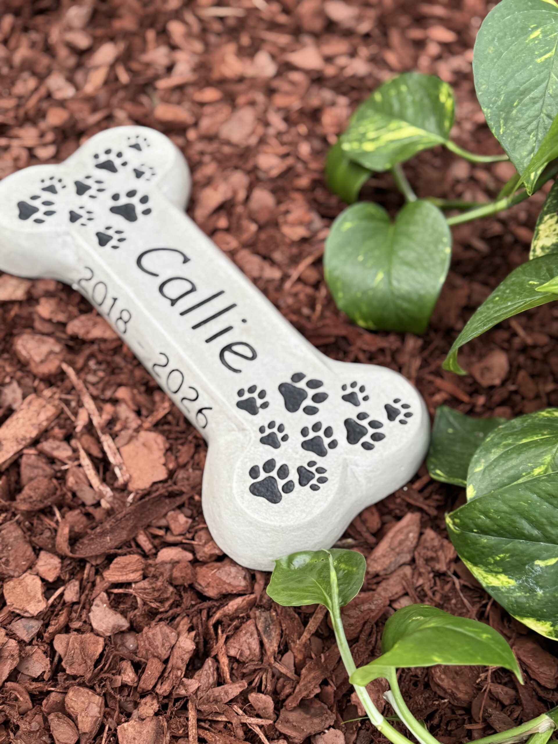 Pet Memorial - Image 5