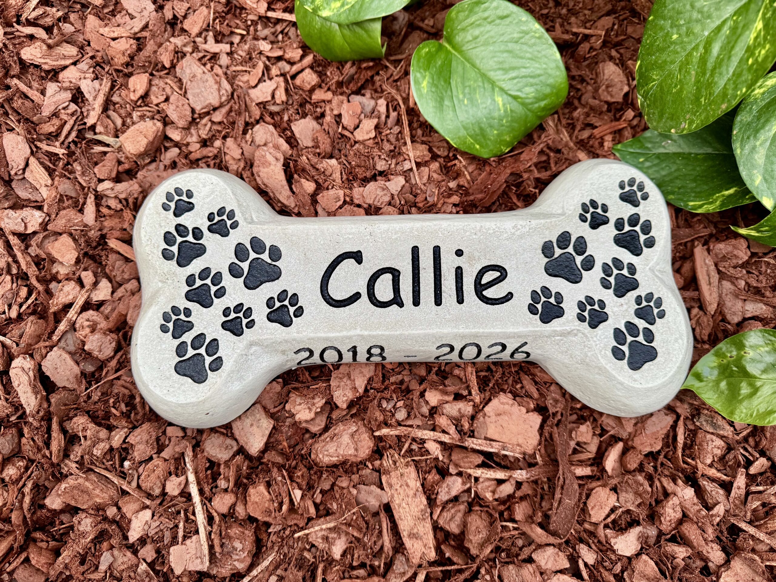 Pet Memorial - Image 2