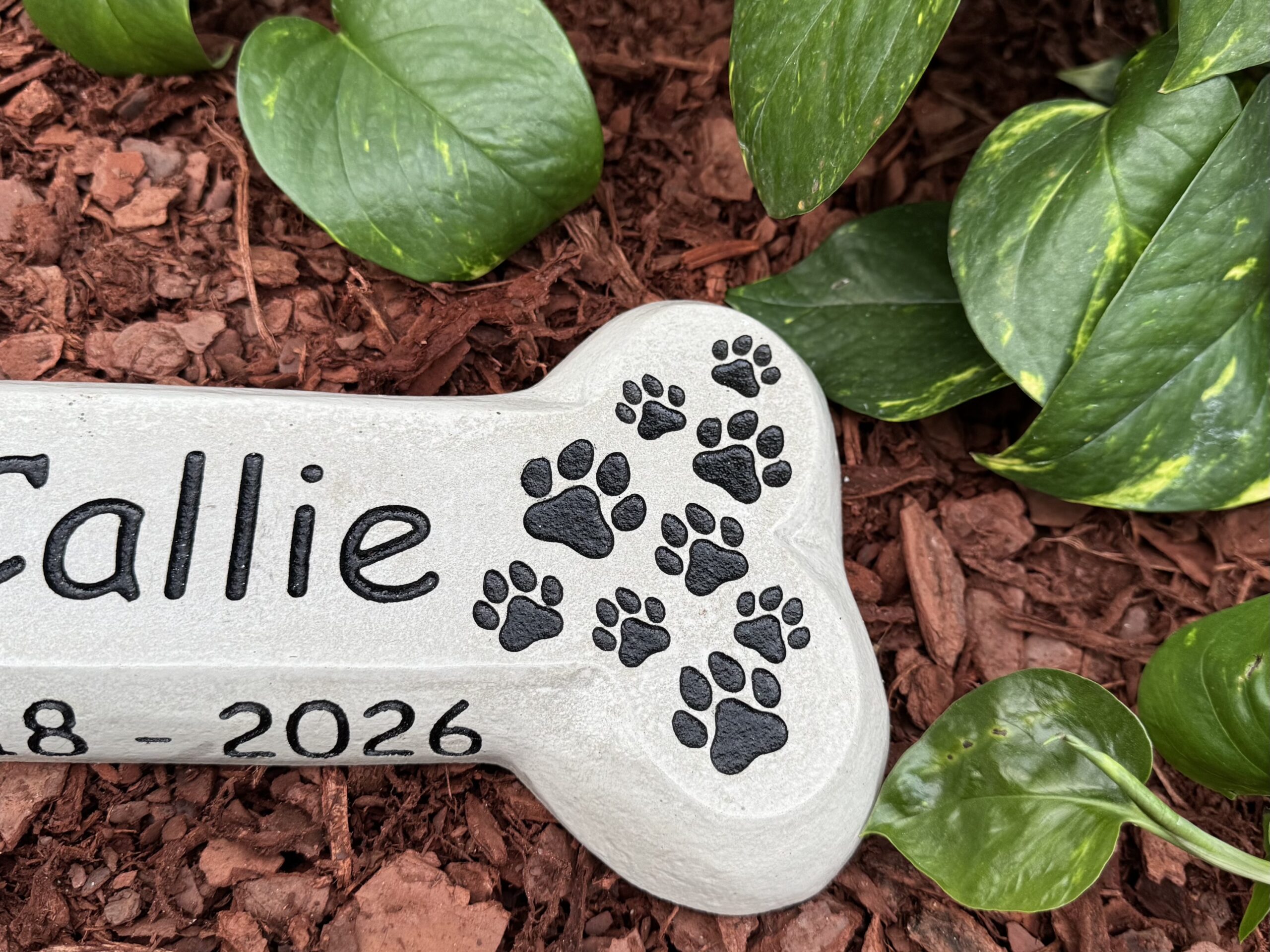 Pet Memorial - Image 6