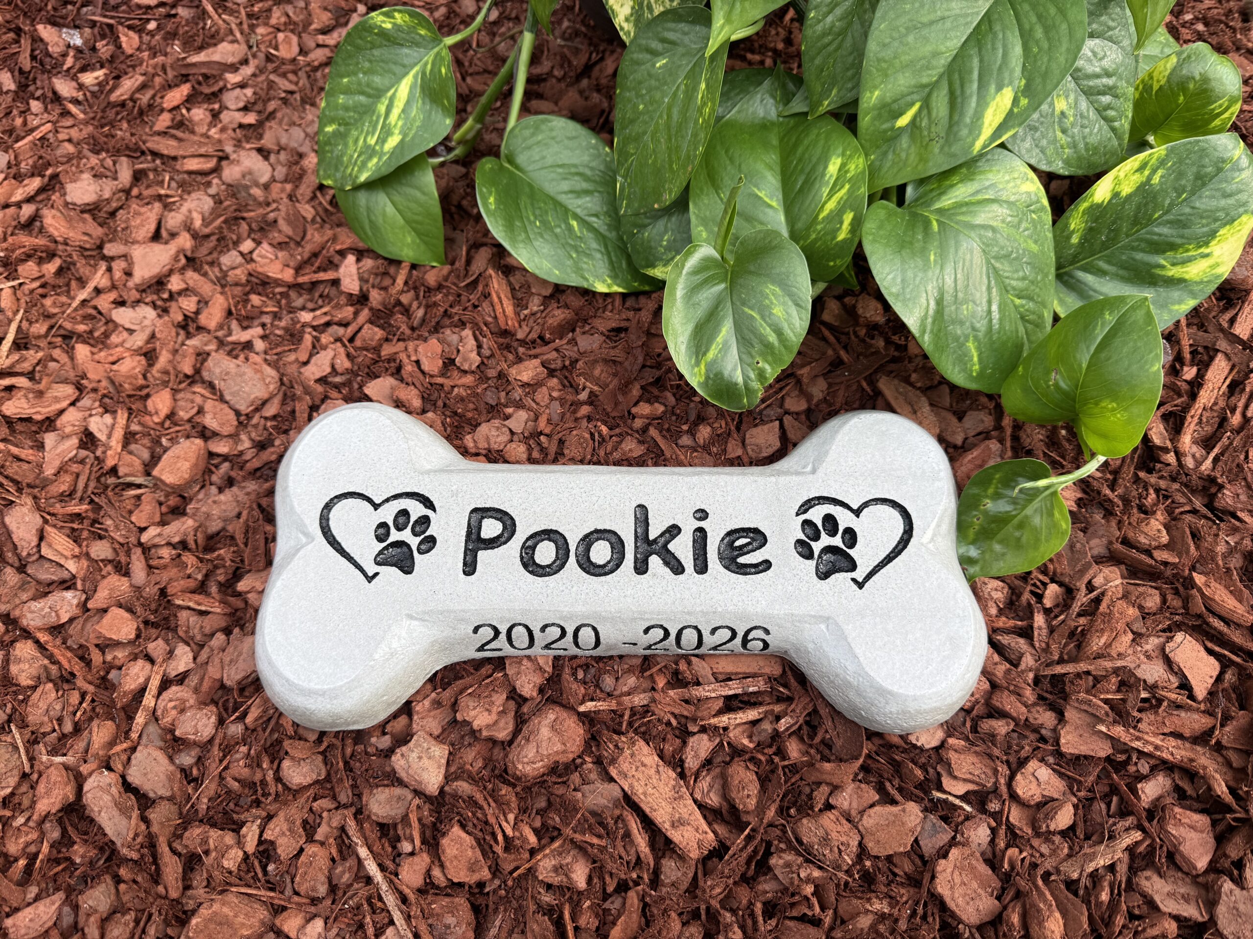 Pet Memorial - Pookie Design - Image 5