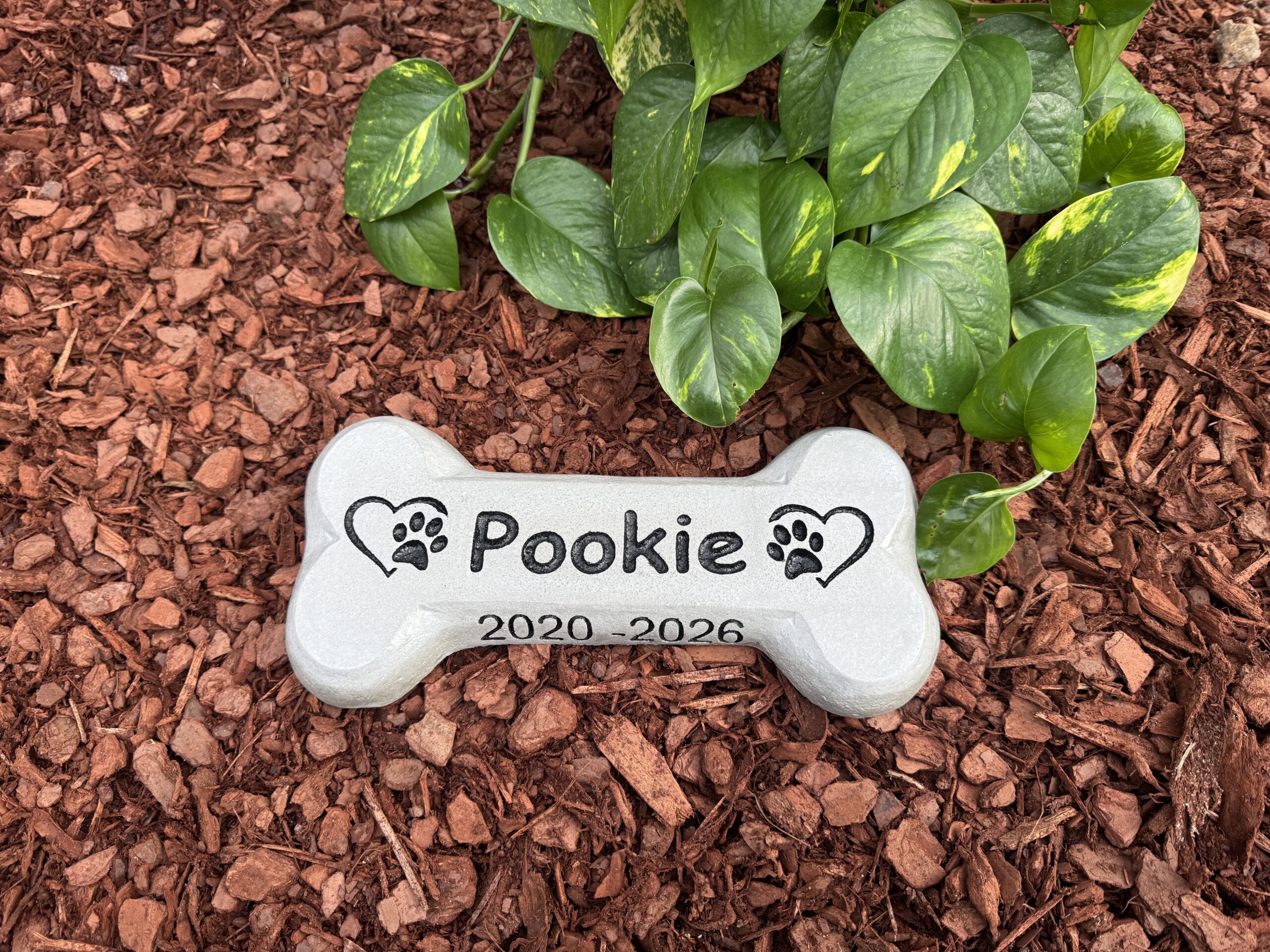 Pet Memorial - Pookie Design - Image 6